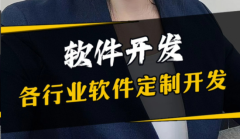 做软件，我们是认真的：一家不愿将就的开发公司自白